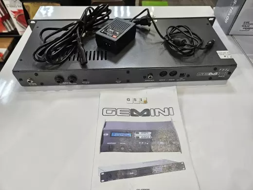 GSI GEMINI RACK 2